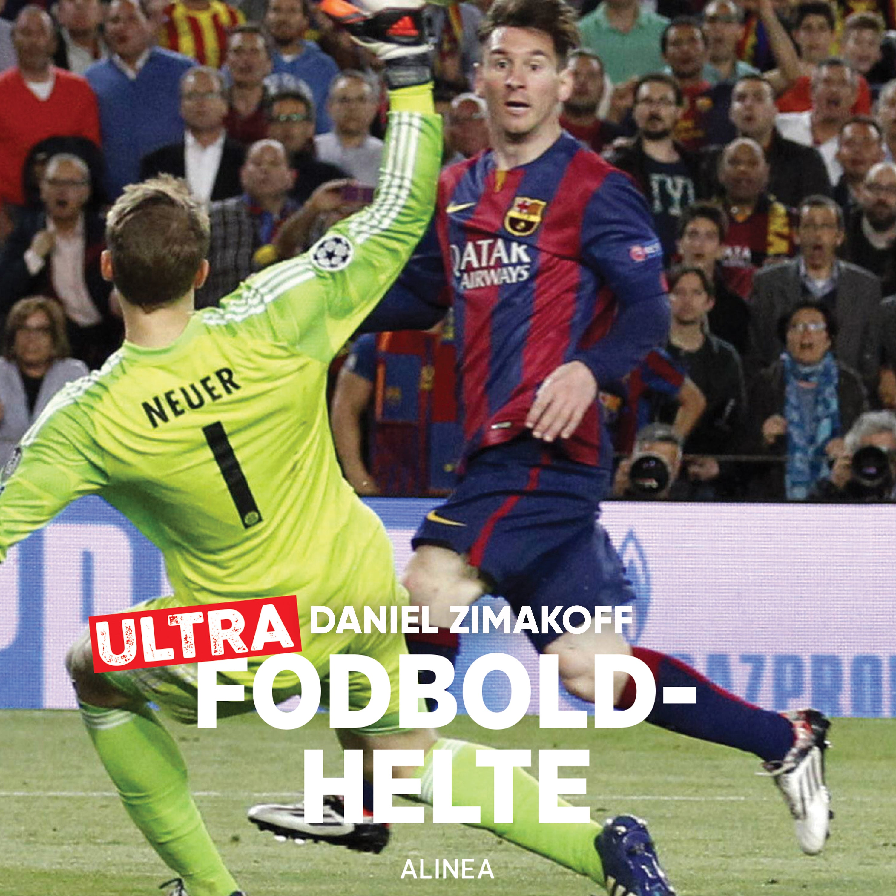 Forside billede